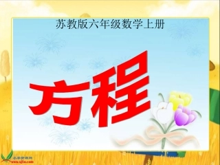 苏教版数学六年级上册《方程》课件