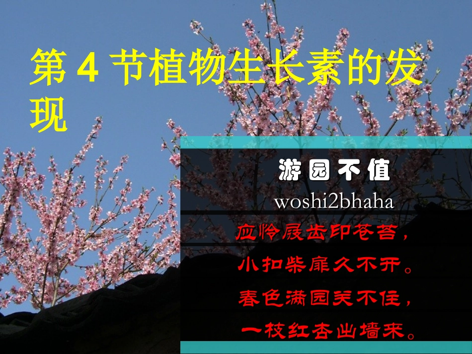 31植物生长素的发现_第1页