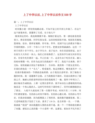上了以后,上了以后作文500字 