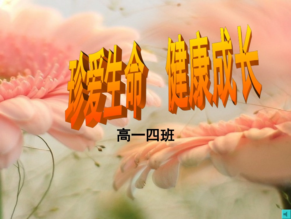 珍爱生命班会_第1页