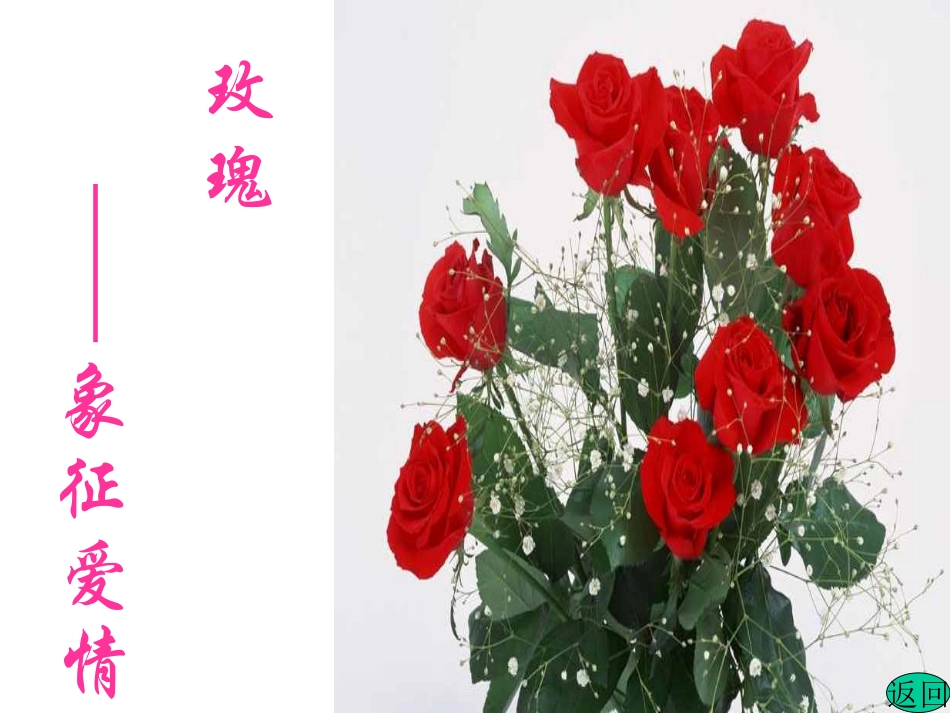 爱莲说1 (2)_第3页