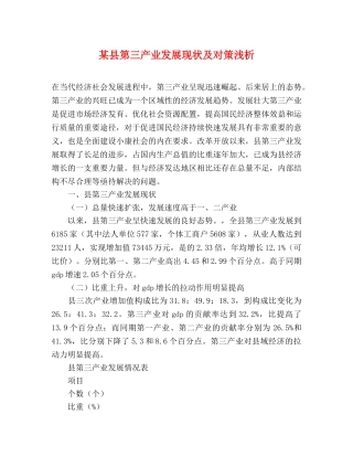某县第三产业发展现状及对策浅析 
