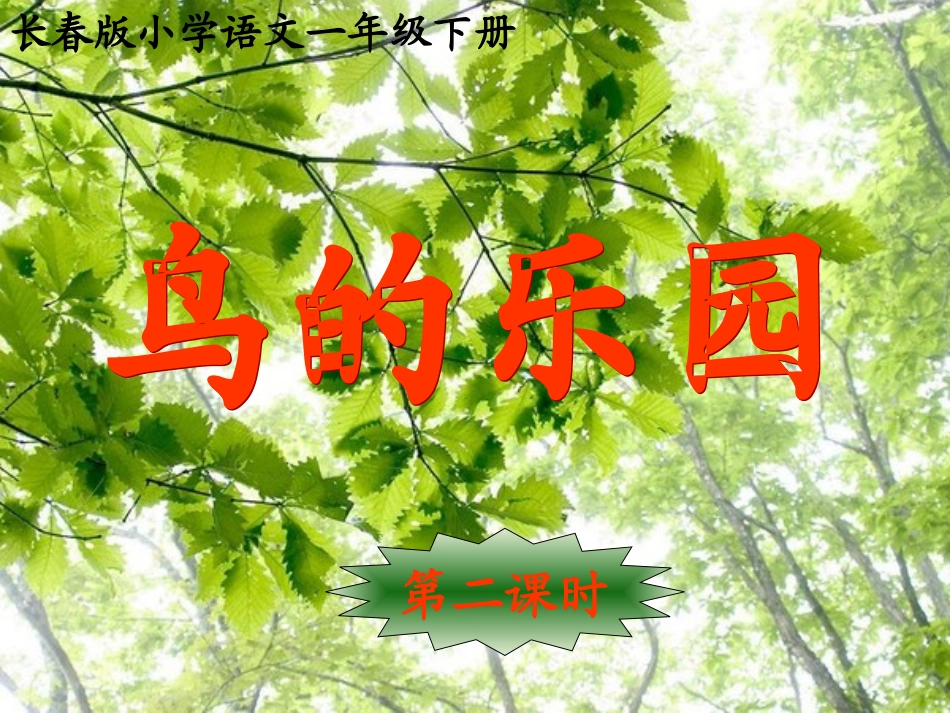 鸟的乐园第二课时_第1页