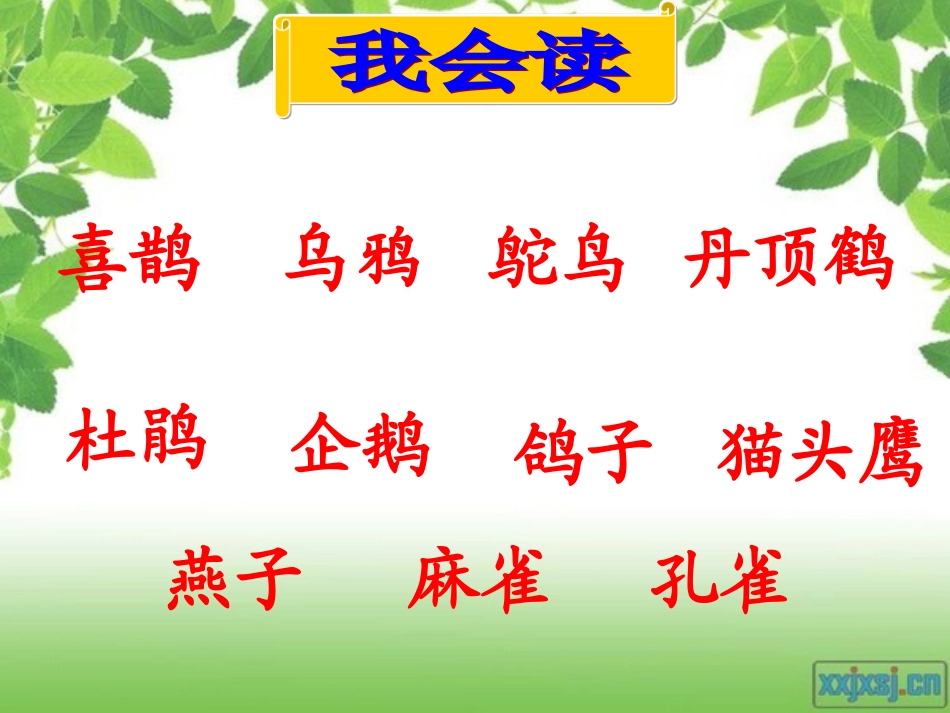 鸟的乐园第二课时_第2页