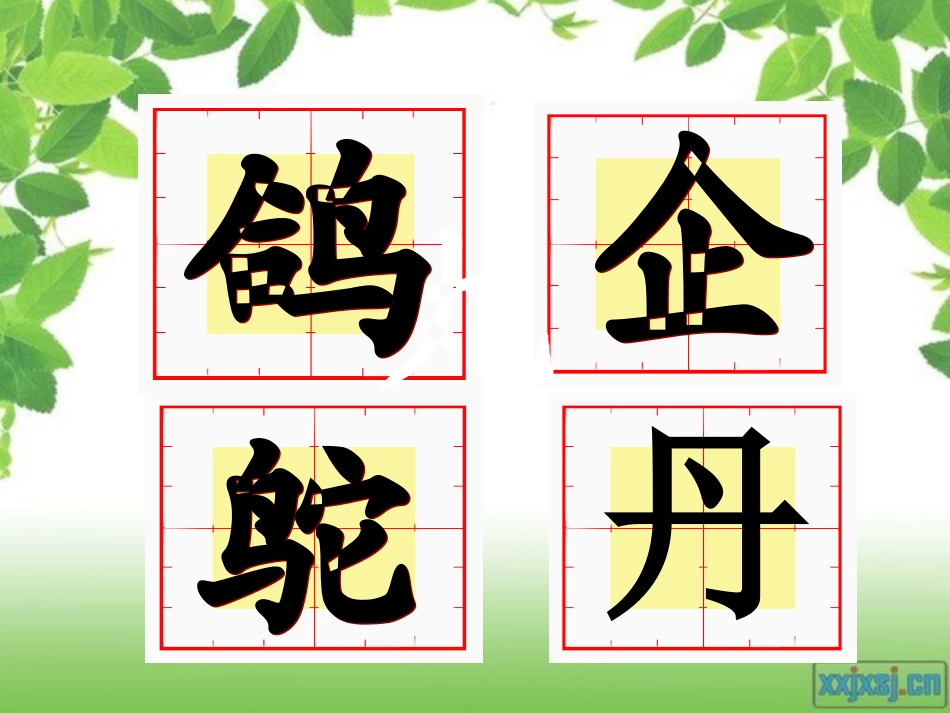 鸟的乐园第二课时_第3页