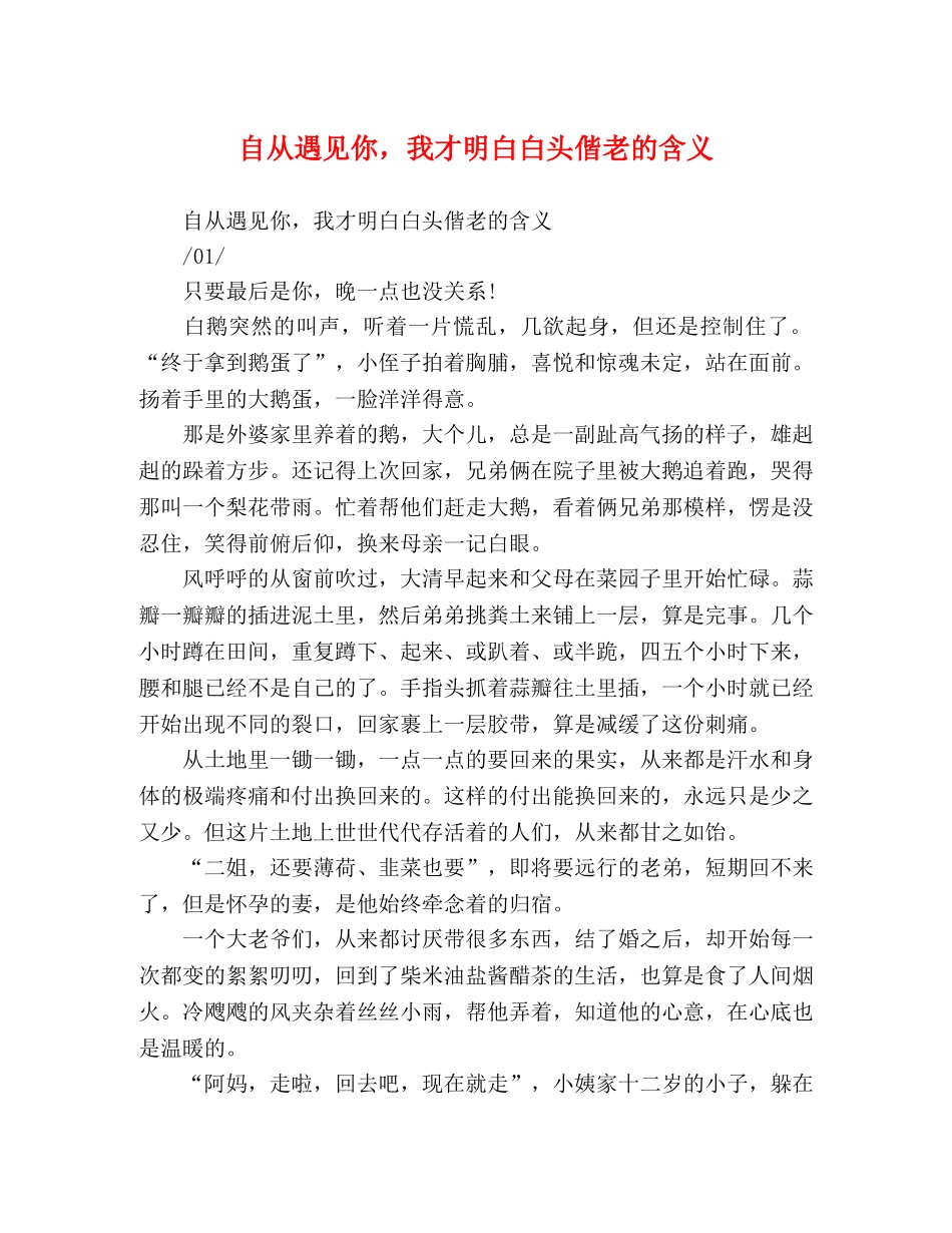 自从遇见你，我才明白白头偕老的含义 _第1页