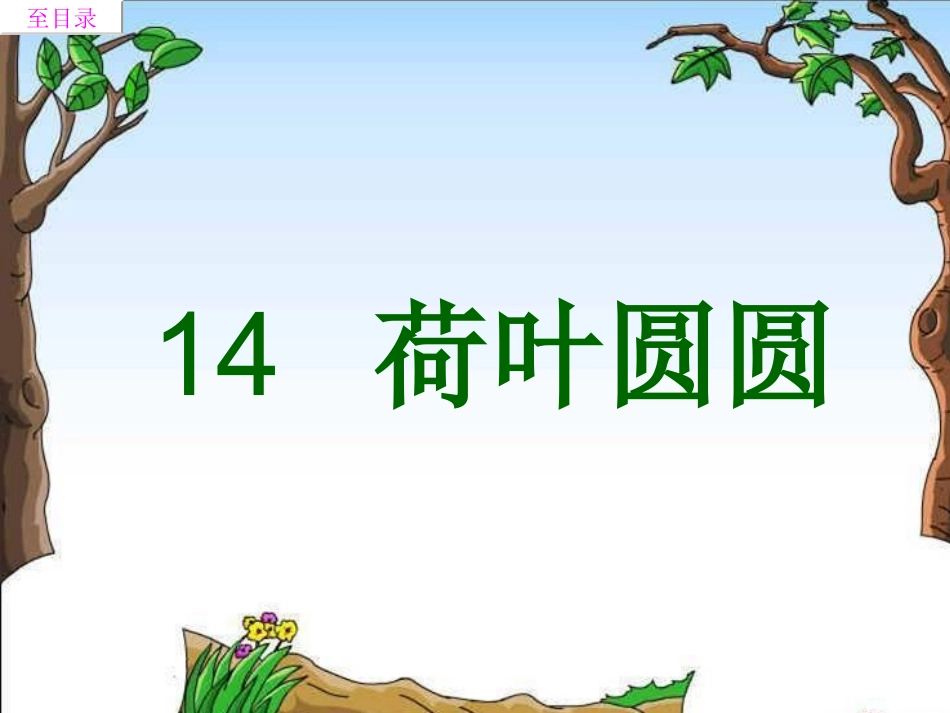 荷叶圆圆 (3)_第1页