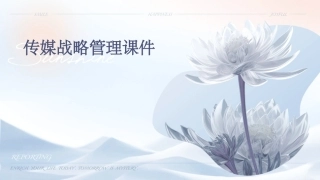 传媒战略管理课件