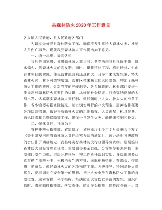 县森林防火2024年工作意见 