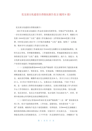 党支部五化建设自查情况报告范文(真题6)