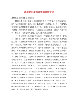 基层党组织结对共建典型发言 