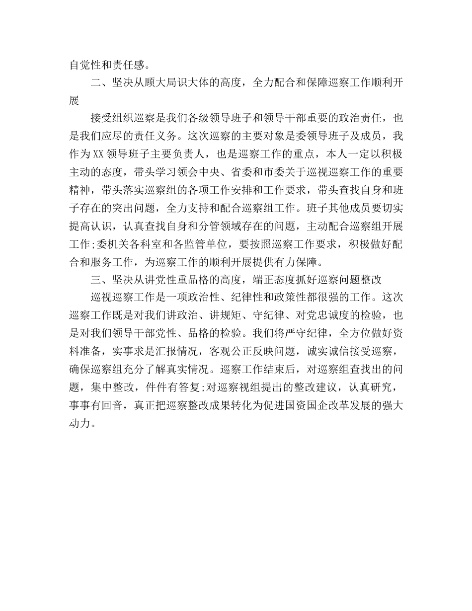 在市委巡察工作会议上的表态发言 _第2页