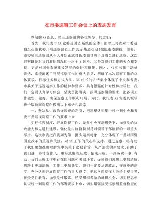 在市委巡察工作会议上的表态发言 