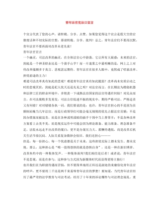 青年法官宪法日宣言 