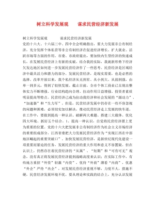 树立科学发展观    谋求民营经济新发展 