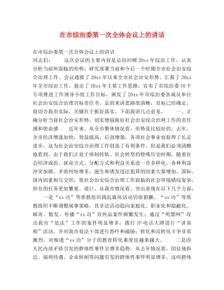 在市综治委第一次全体会议上的讲话 