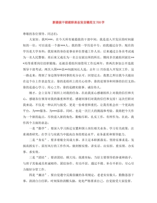 新提拔干部就职表态发言稿范文700字 