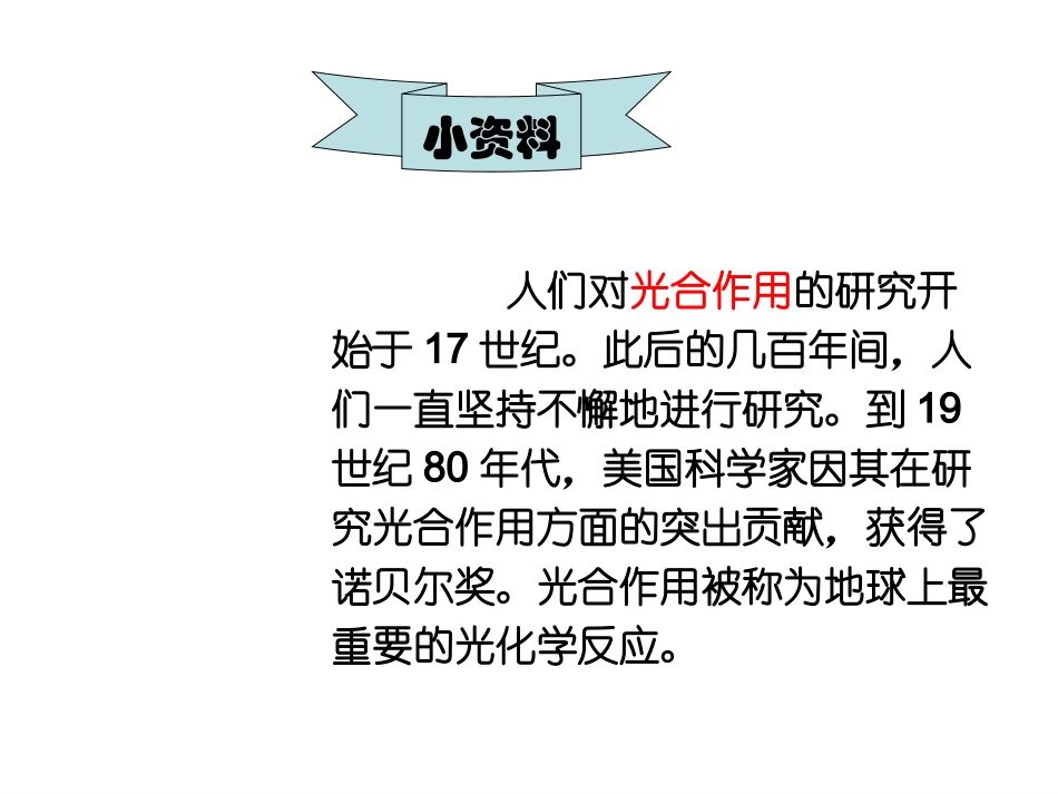 植物光和作用_第2页