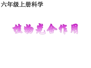 植物光和作用