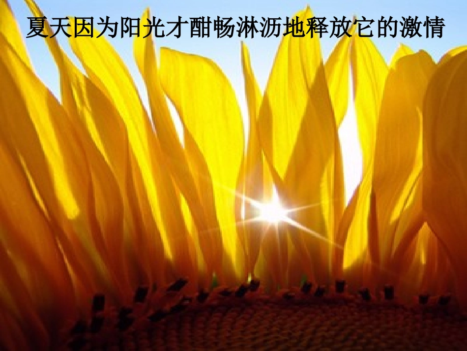 《小小的阳光》_第2页