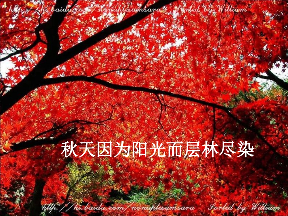 《小小的阳光》_第3页