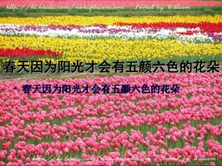 《小小的阳光》
