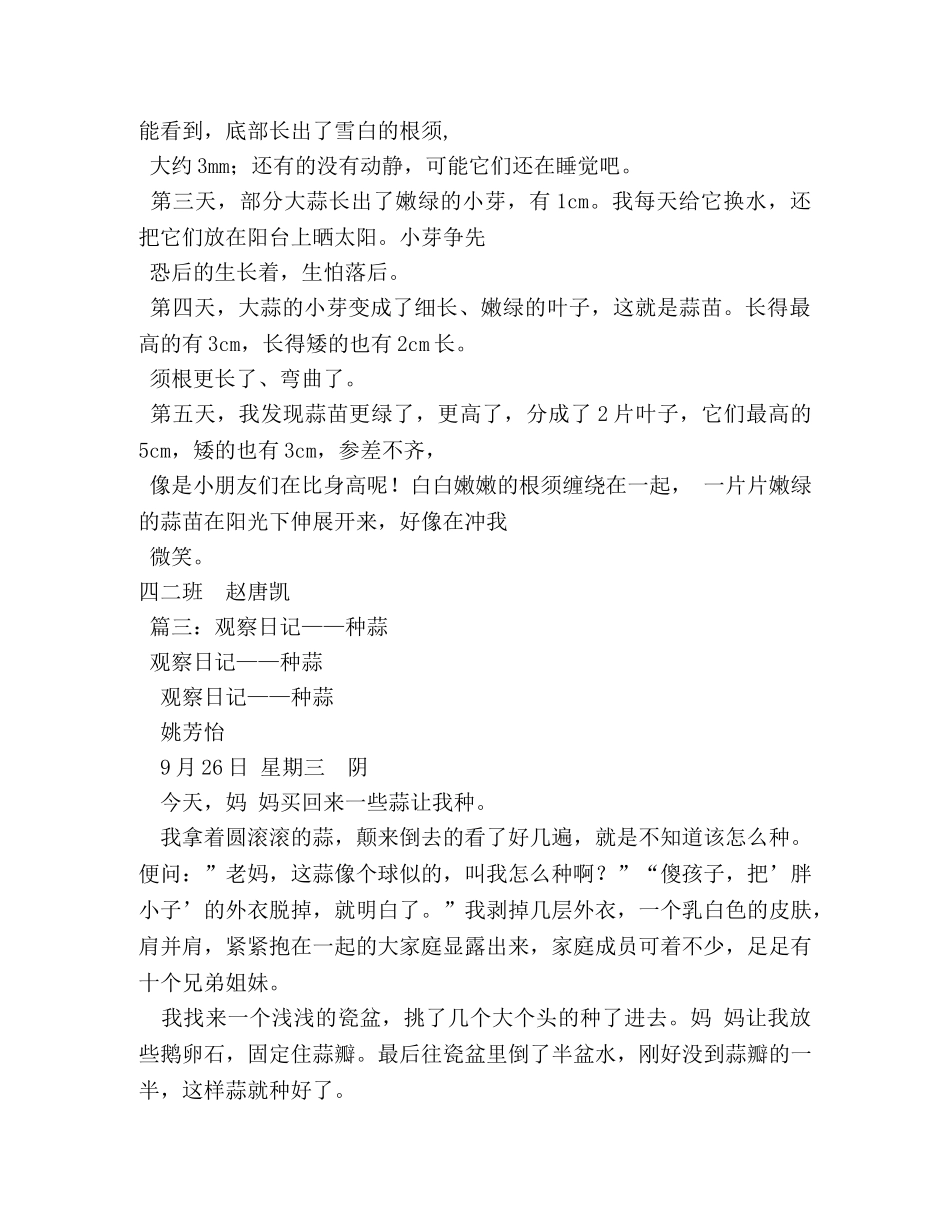 观察日记种植大蒜作文300字 _第3页