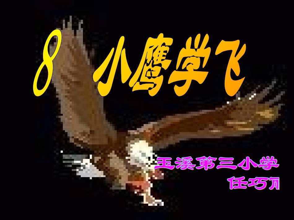 小鹰学飞课件_第1页