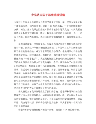 少先队大队干部竞选演讲稿 