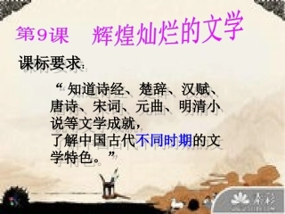 9,辉煌灿烂的文学