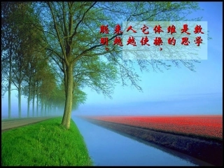 探索与表达规律