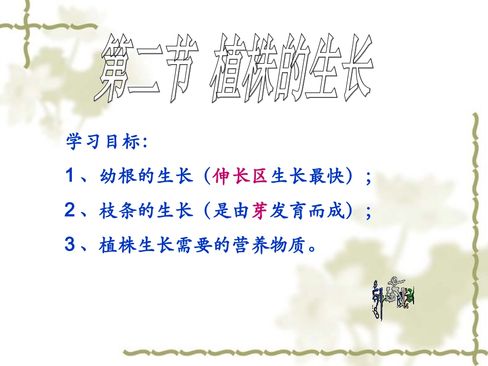 4、植株的生长_第1页