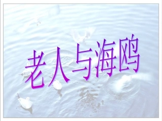 六上第21课《老人与海鸥》(1)
