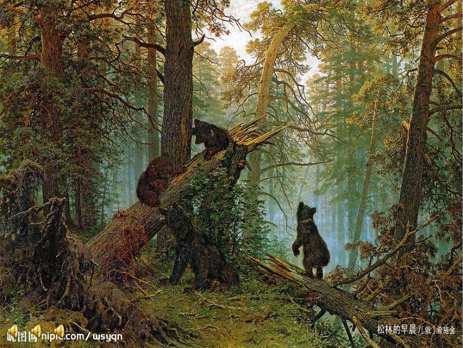 小桥流水森林_第1页