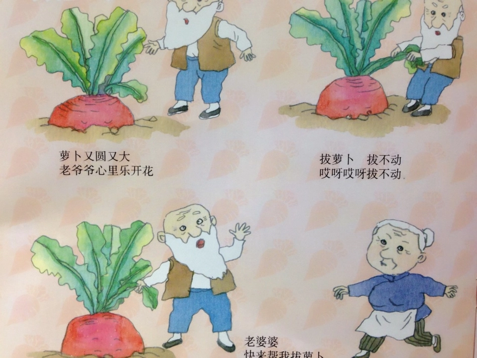 3拔萝卜PPT（综合）_第2页