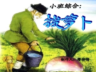 3拔萝卜PPT（综合）