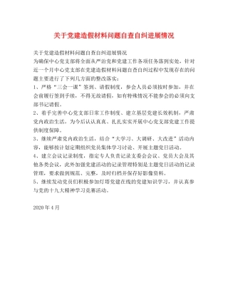 关于党建造假材料问题自查自纠进展情况 