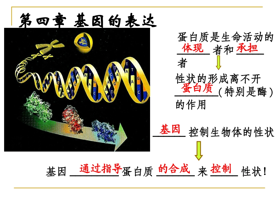 41基因指导蛋白质的合成_第1页