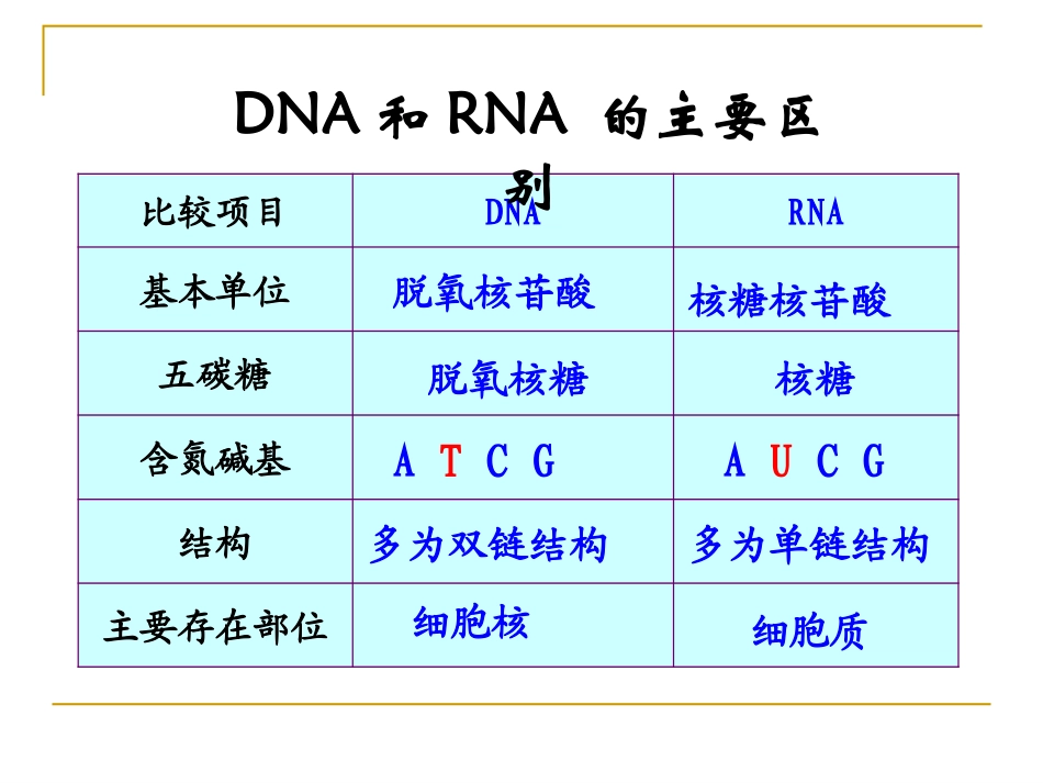 41基因指导蛋白质的合成_第3页