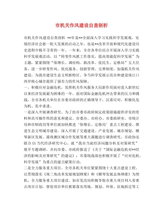 市机关作风建设自查剖析 