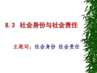 社会身份与社会责任