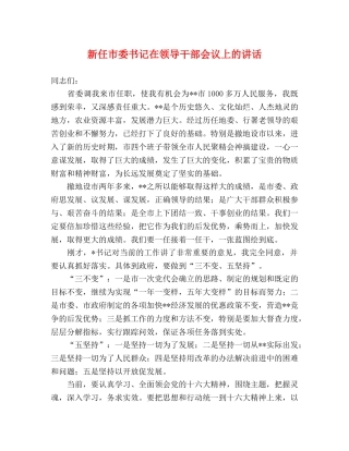 新任市委书记在领导干部会议上的讲话 