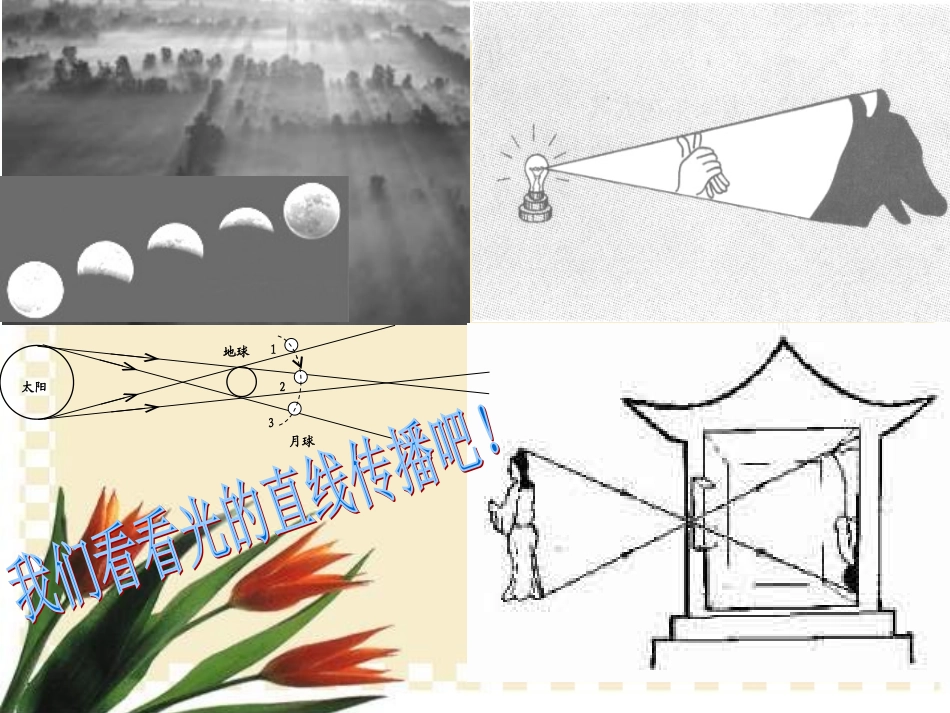 人教版八年级物理上册光现象复习_第3页