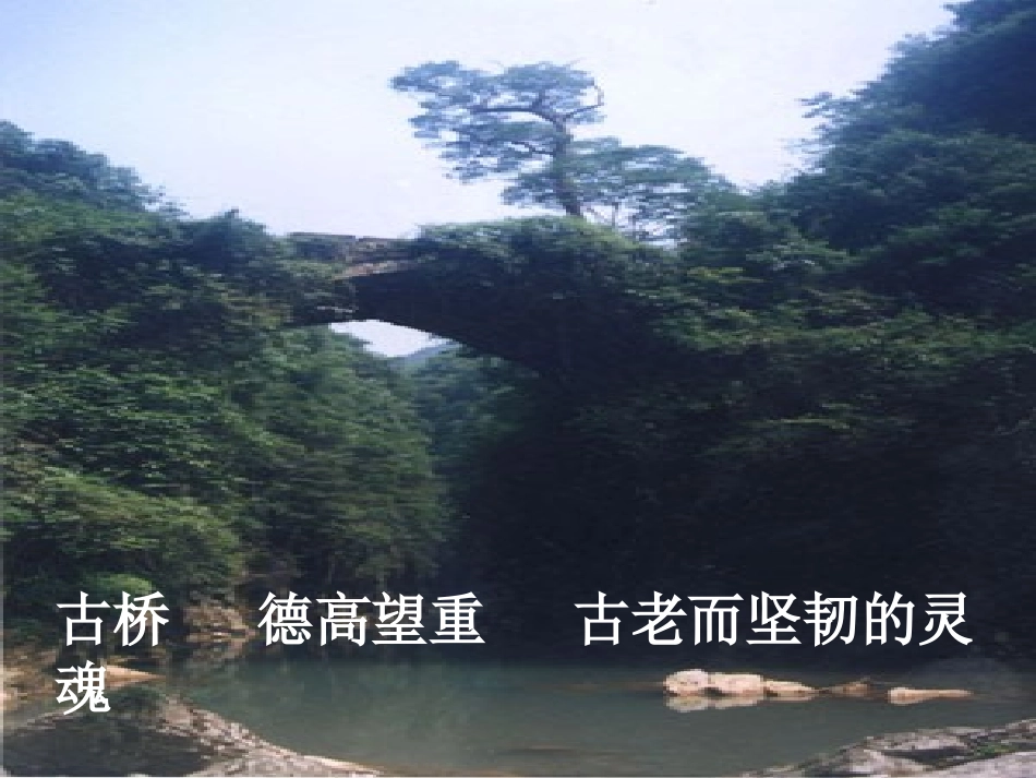 山中访友 (4)_第3页