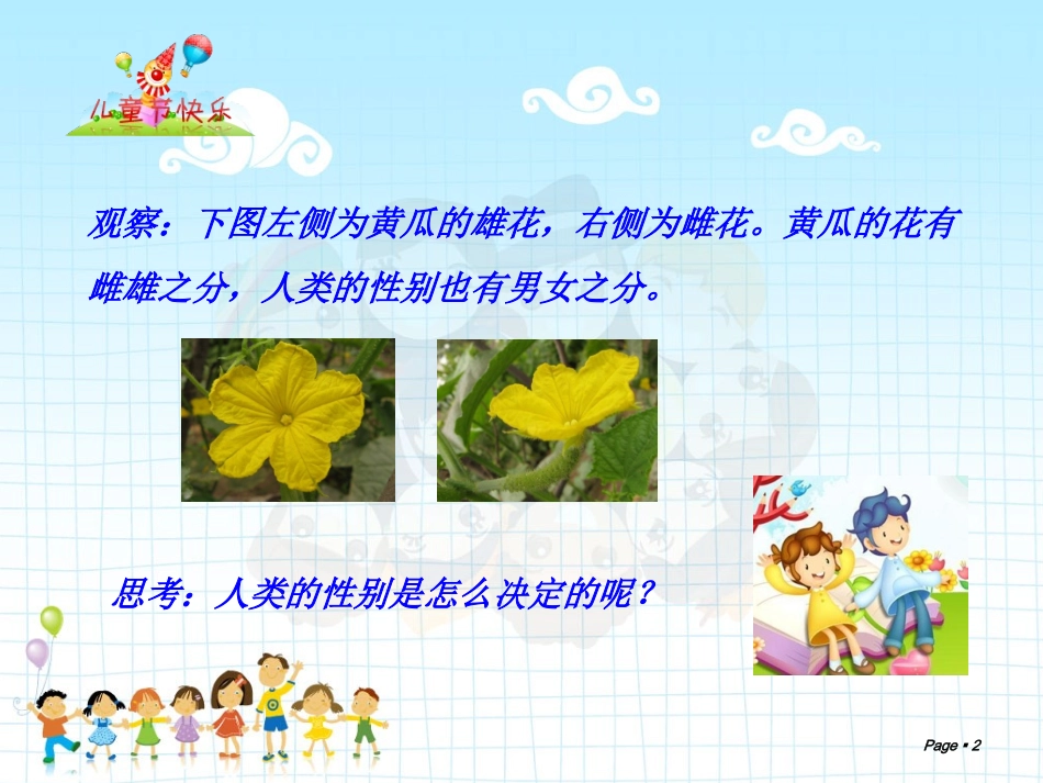 第四节人体概述_第2页