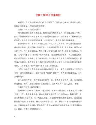 全新工作转正自我鉴定 