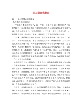 见习期自我鉴定 (2) 