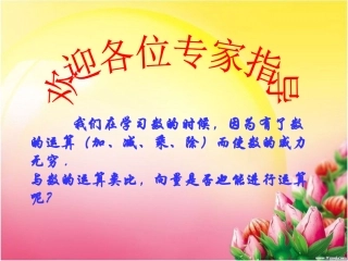 平面向量的加法及其几何意义