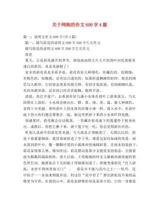 关于网购的作文600字4篇 