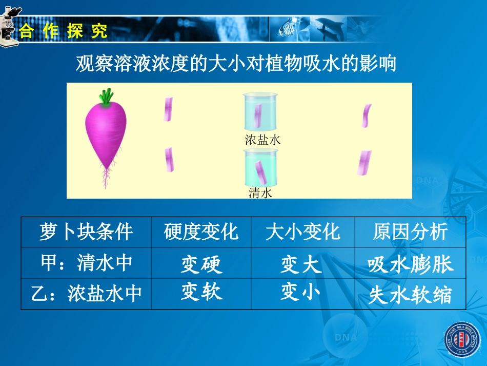 342绿色植物的生长需要水和无机盐（二）_第2页